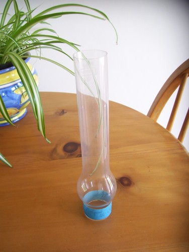 Round bulge oil lamp - bulge,