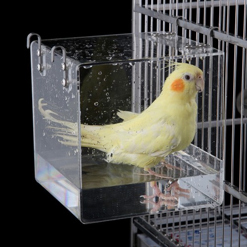 Transparent acrylic parrot - acrylic,