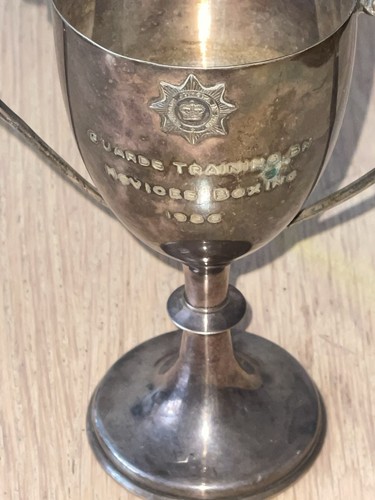 Silver plated boxing trophy - boxing,