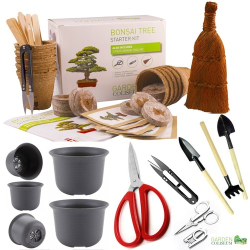 Bonsai tree kit grow - kit., types