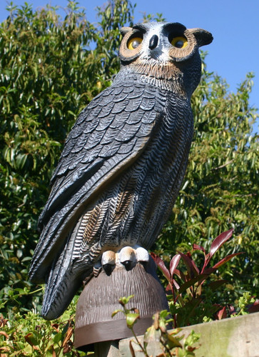 Bird scarer flambeau owl - bird,