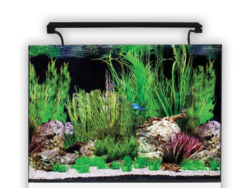 Aqua one aquanano aquariums - aqua,