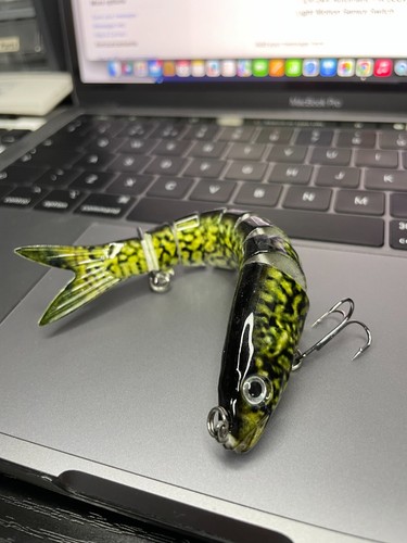 Pike lure motion - motion, realistic