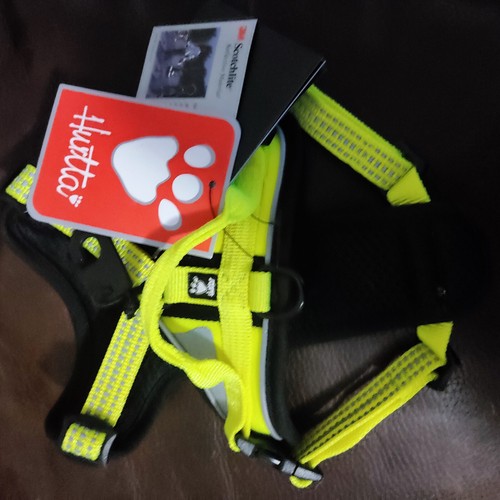 Hurtta dazzle harness neon - dazzle,