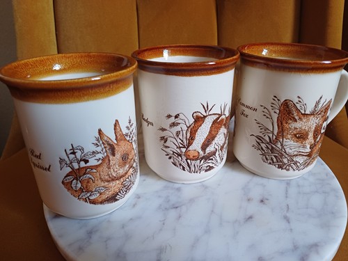 Set biltons pottery 1970s - biltons,