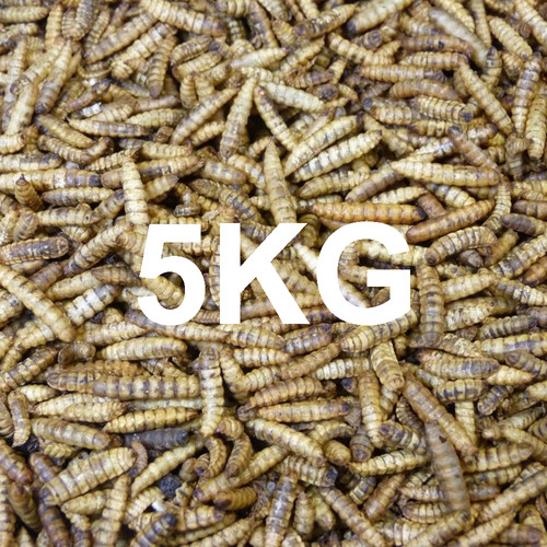 5kg dried calciworms wild - 5kg,