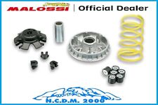 Variator Malossi Multivar 2000 WT Motors Miami 250 4T LC (172mm)