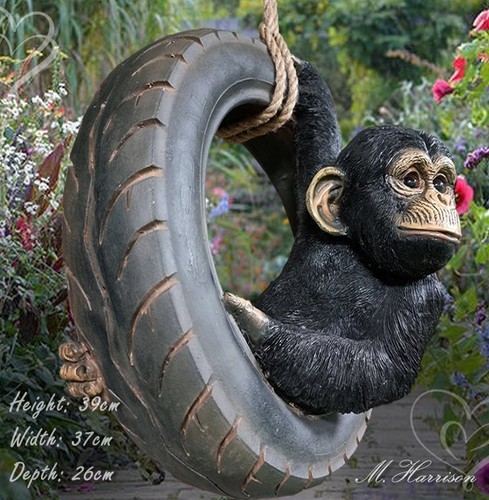 Chimpanzee tyre rope swing - on,