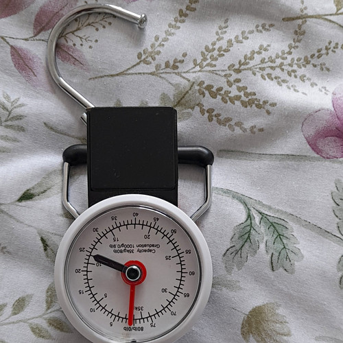 Analogue spring balance - spring,