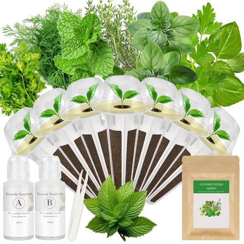 Gourmet herb seed pod kit - herb,