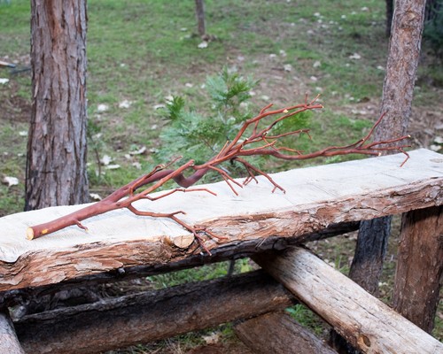 Manzanita thin branch - branch, for