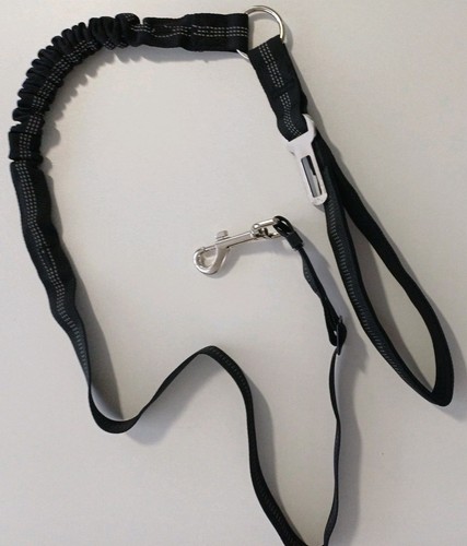Dog lead shock absorbing - dog,