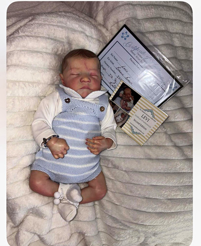 Precious dreams levi - levi, reborn