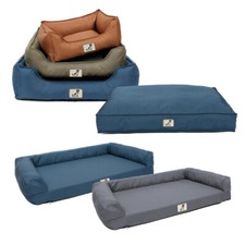 All Pet Solutions Dexter Dog