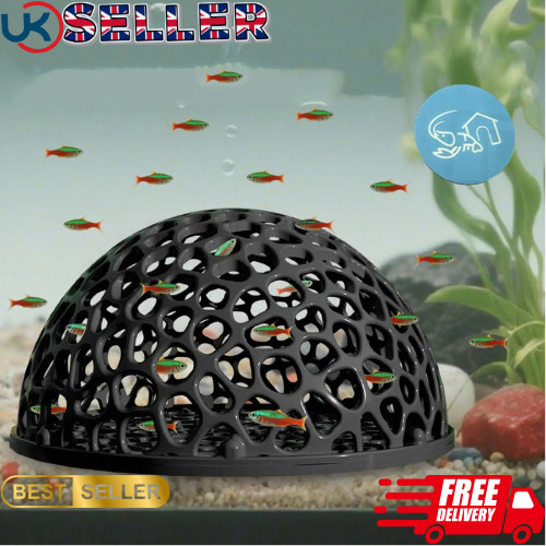 Shrimp breeding cave - shrimp,