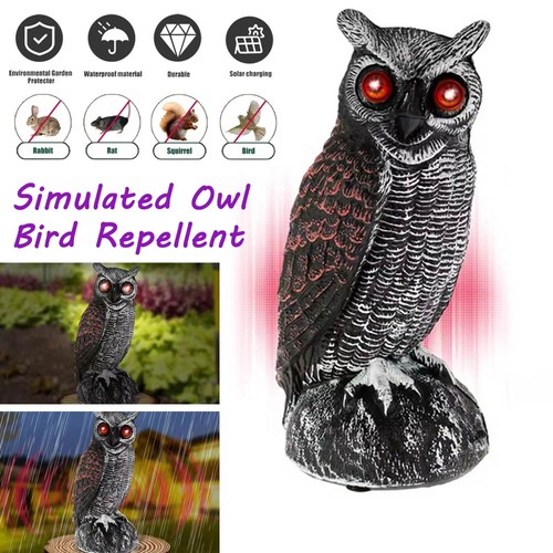 Solar owl decoy - solar, bird