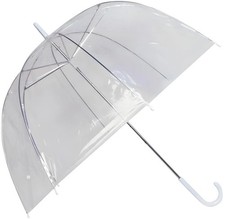 Large Clear Dome See Through