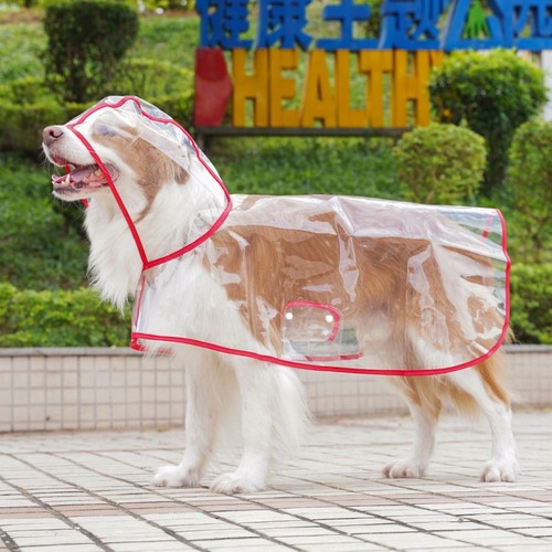 Pet raincoat transparent - raincoat, dog