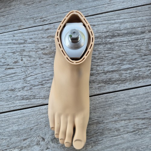 Otto bock prosthetic foot 1d35 - bock,