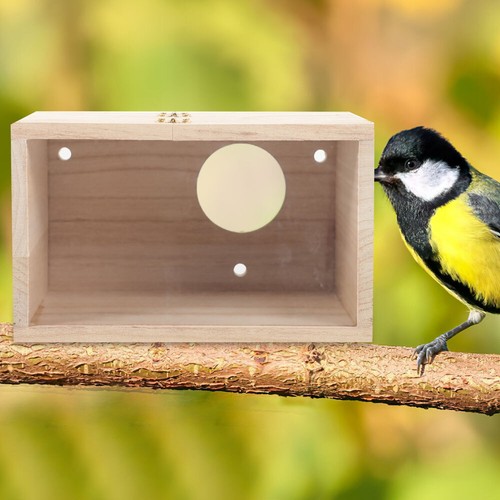 Wooden parrot budgie - parrot,