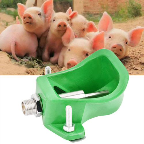 Cow sheep water - bowls, animals