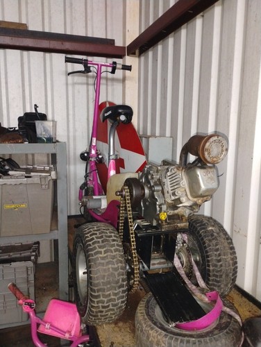 E300 custom trike - custom,