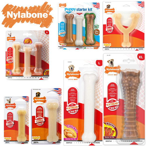 Nylabone dura chew tough - chew,