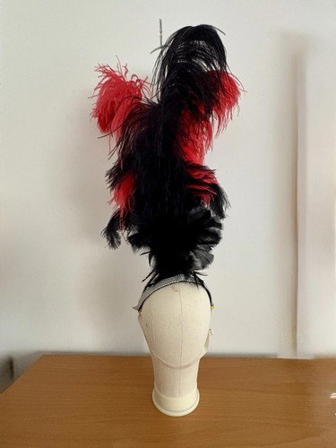 Black red ostrich feather - red,