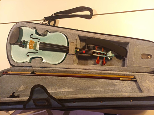 Stentor harlequin acoustic - harlequin,