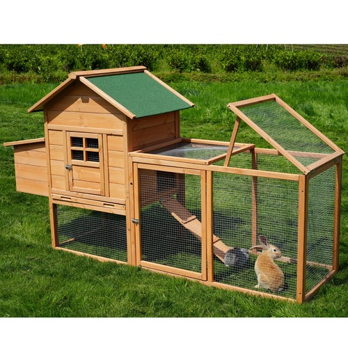 Wooden chicken coop nesting - chicken,
