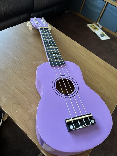Winzz ukulele starter kit with - starter,