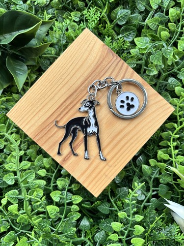 Black lurcher whippet - lurcher,