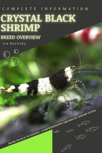 Red cherry shrimp - cherry, novice