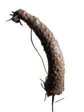 Old Tribal Bamum Trumpet