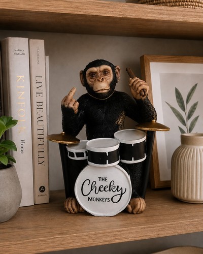 The cheeky monkeys drummer - cheeky,