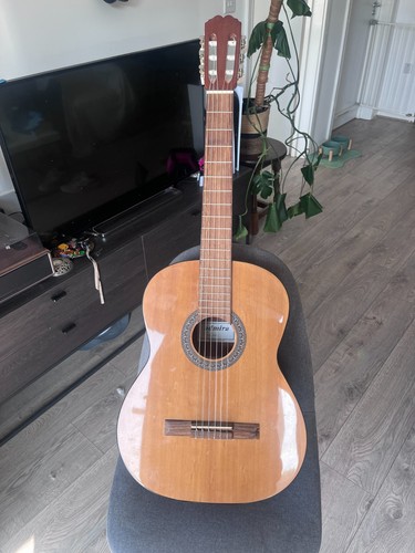Seagull original acoustic - original,
