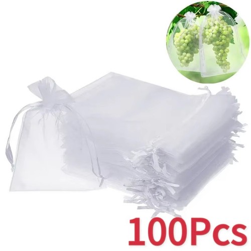 Time sparkle 50pcs - to, 25/50pcs