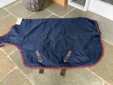 Premier Equine Horse Walker