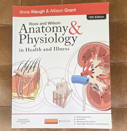 Ross wilson anatomy - &, &