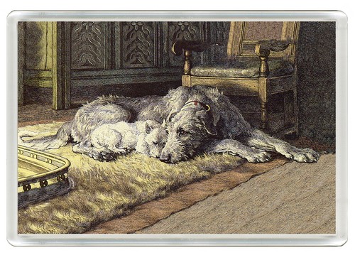 Irish wolfhound westie - irish,