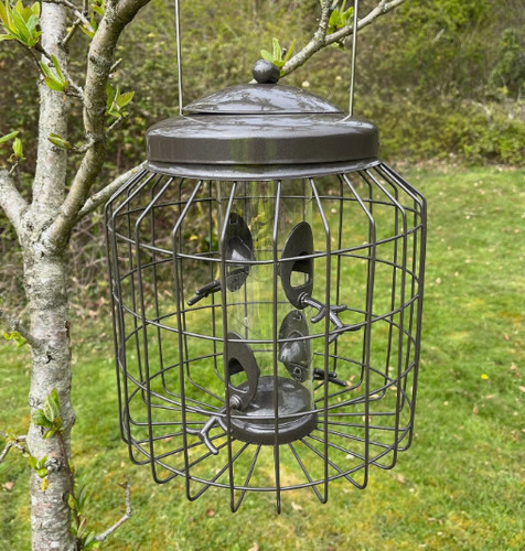 Squirrel proof hanging bird - proof,