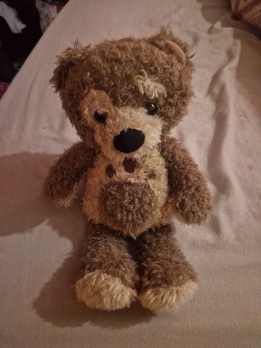 Little charley bear - little,