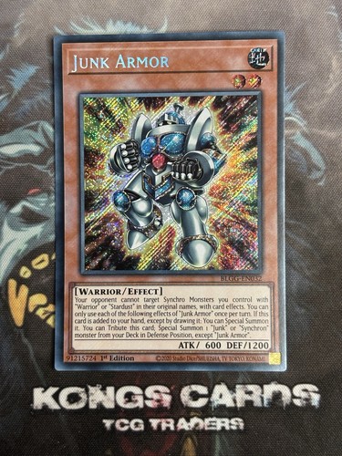Blgg en032 junk armor secret - junk,