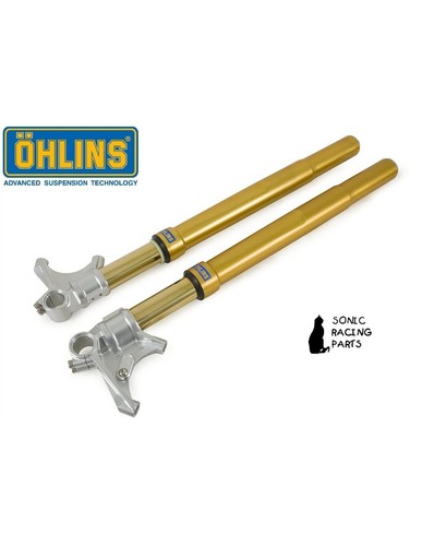 Fgrt 205 gold fork ohlins - fgrt,