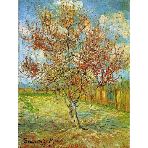 Vincent van gogh pink peach - vincent,