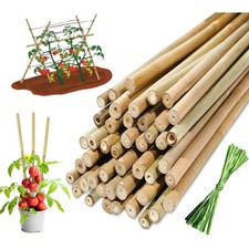 5FT & 6FT Bamboo Garden Canes