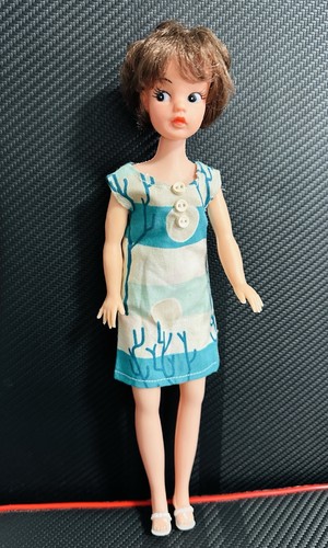 1970 sindy tammy - sindy,