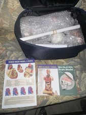 EVOTECH Human Body Skeleton and Heart Models-Best Anatomy Model Bundle Set of…