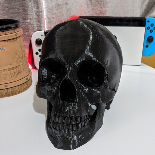 Printed human skull replica - printed,
