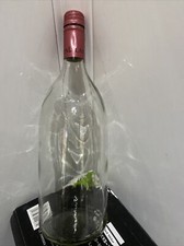 A Large Empty Wine Bottle